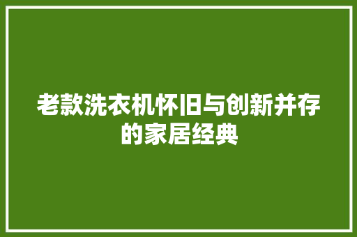 老款洗衣机怀旧与创新并存的家居经典