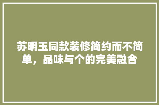 苏明玉同款装修简约而不简单，品味与个的完美融合