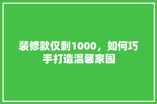 装修款仅剩1000，如何巧手打造温馨家园  第1张