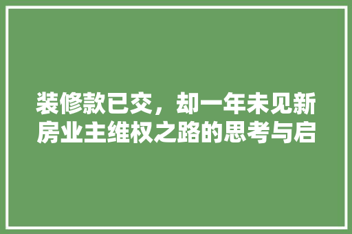 装修款已交，却一年未见新房业主维权之路的思考与启示