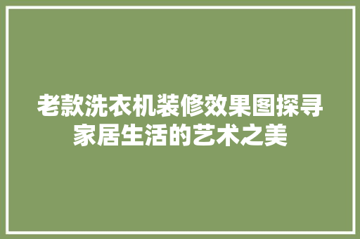 老款洗衣机装修效果图探寻家居生活的艺术之美