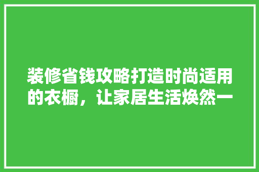 装修省钱攻略打造时尚适用的衣橱，让家居生活焕然一新