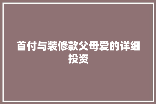 首付与装修款父母爱的详细投资