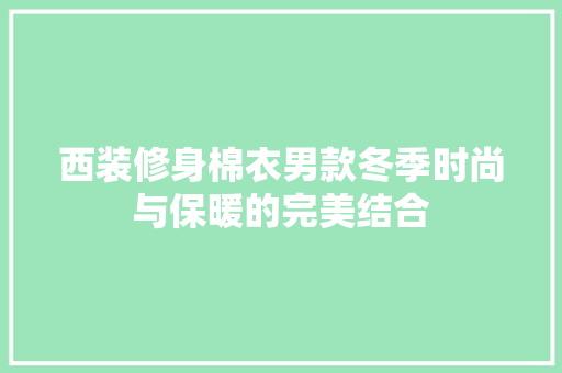 西装修身棉衣男款冬季时尚与保暖的完美结合