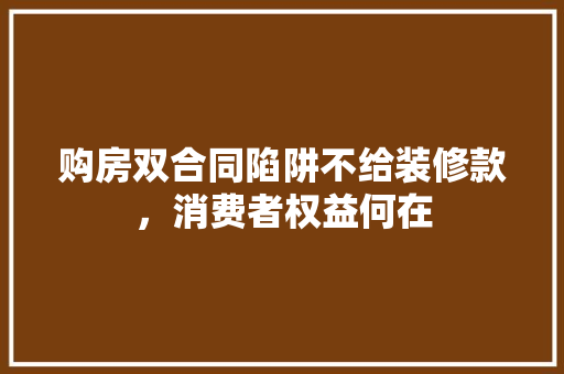 购房双合同陷阱不给装修款，消费者权益何在