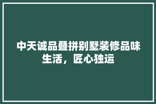 中天诚品叠拼别墅装修品味生活，匠心独运  第1张