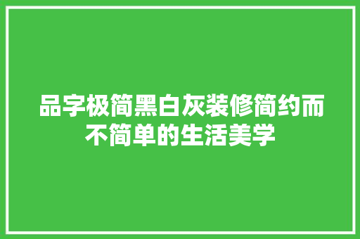 品字极简黑白灰装修简约而不简单的生活美学