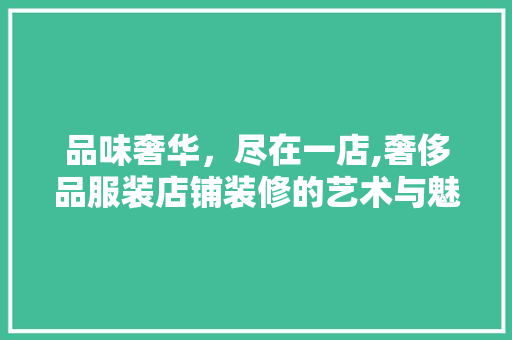 品味奢华，尽在一店,奢侈品服装店铺装修的艺术与魅力