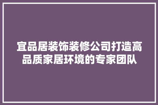 宜品居装饰装修公司打造高品质家居环境的专家团队