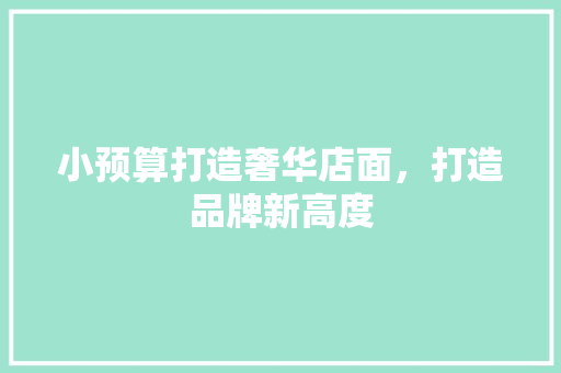 小预算打造奢华店面，打造品牌新高度
