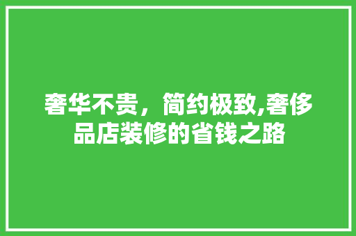 奢华不贵，简约极致,奢侈品店装修的省钱之路