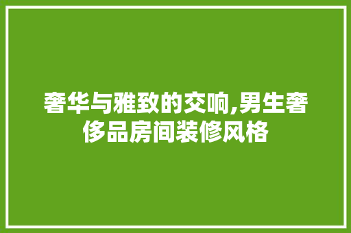 奢华与雅致的交响,男生奢侈品房间装修风格