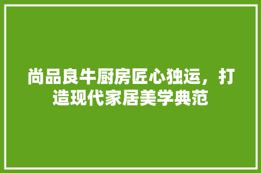 尚品良牛厨房匠心独运，打造现代家居美学典范