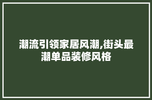 潮流引领家居风潮,街头最潮单品装修风格