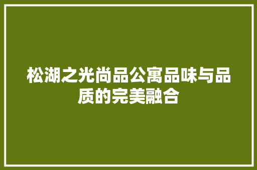 松湖之光尚品公寓品味与品质的完美融合