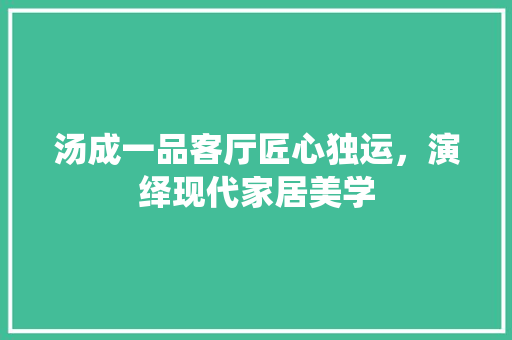 汤成一品客厅匠心独运，演绎现代家居美学