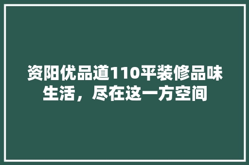 资阳优品道110平装修品味生活，尽在这一方空间