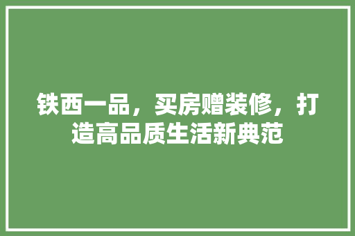 铁西一品，买房赠装修，打造高品质生活新典范