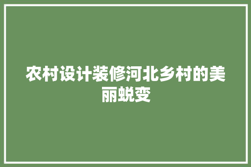 农村设计装修河北乡村的美丽蜕变
