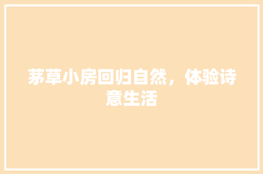 茅草小房回归自然，体验诗意生活