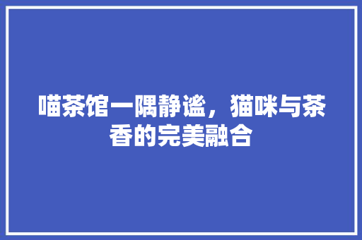 喵茶馆一隅静谧，猫咪与茶香的完美融合