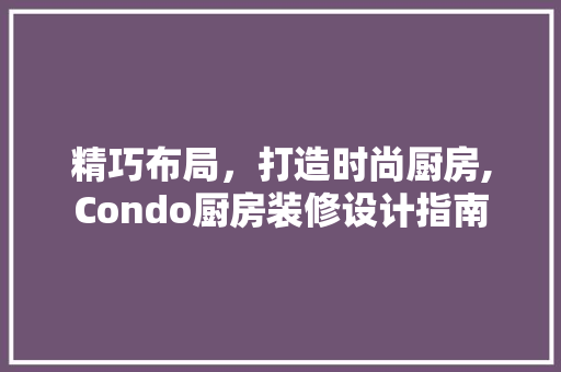精巧布局，打造时尚厨房,Condo厨房装修设计指南