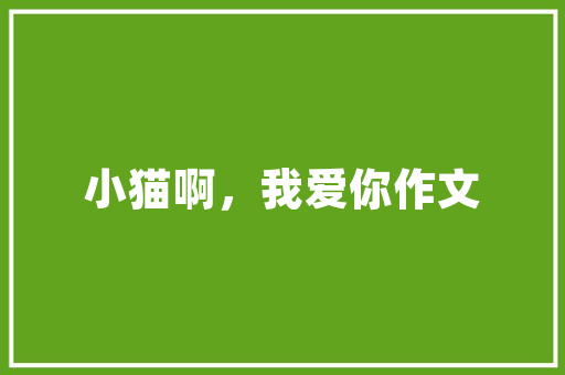 黑天棚装修设计打造时尚与适用的空间艺术