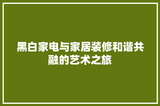 黑白家电与家居装修和谐共融的艺术之旅