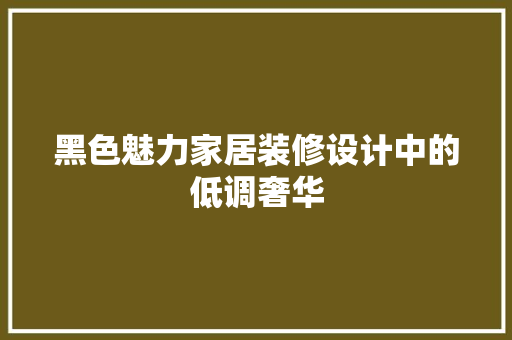 黑色魅力家居装修设计中的低调奢华  第1张