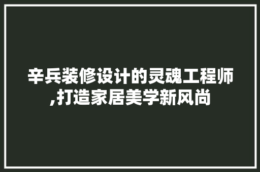 辛兵装修设计的灵魂工程师,打造家居美学新风尚