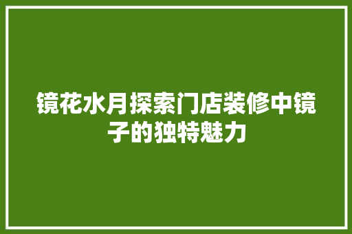 镜花水月探索门店装修中镜子的独特魅力