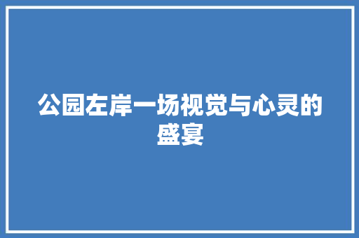公园左岸一场视觉与心灵的盛宴