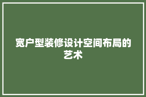 宽户型装修设计空间布局的艺术