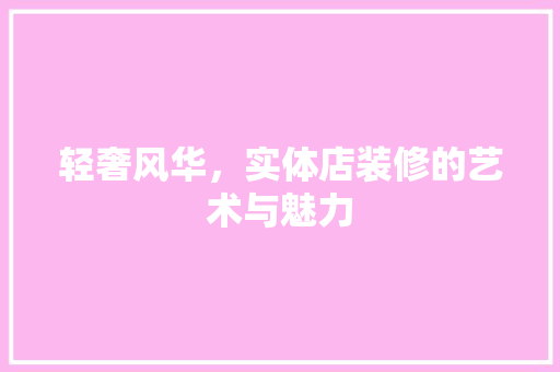 轻奢风华，实体店装修的艺术与魅力