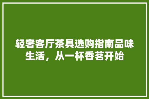 轻奢客厅茶具选购指南品味生活，从一杯香茗开始