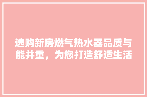 选购新房燃气热水器品质与能并重，为您打造舒适生活