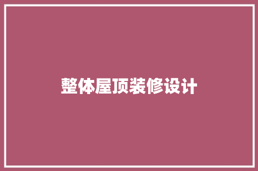 整体屋顶装修设计